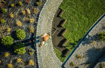 Landscaping 